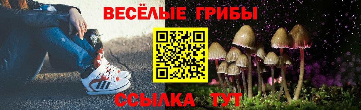 Галлюциногенные грибы Cubensis Тихорецк