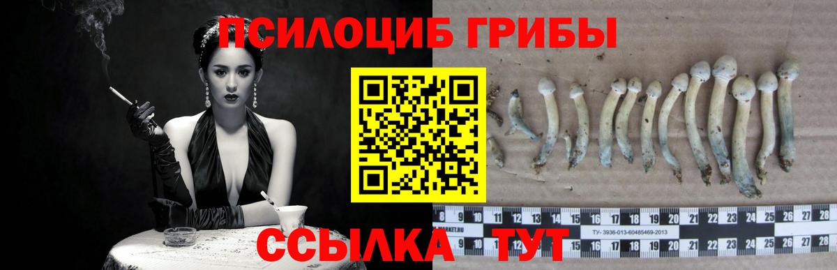 Галлюциногенные грибы мицелий  Вход с VPN  Тихорецк 